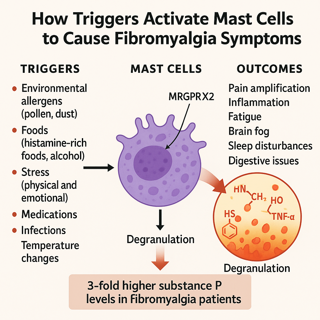 How Mast Cell Triggers Contribute to Fibromyalgia Symptoms