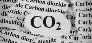 News paper cutting saying Co2