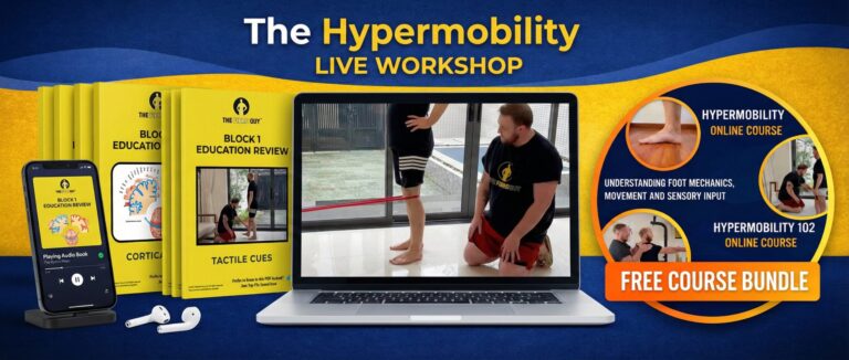 The Hypermobility Live Workshop
